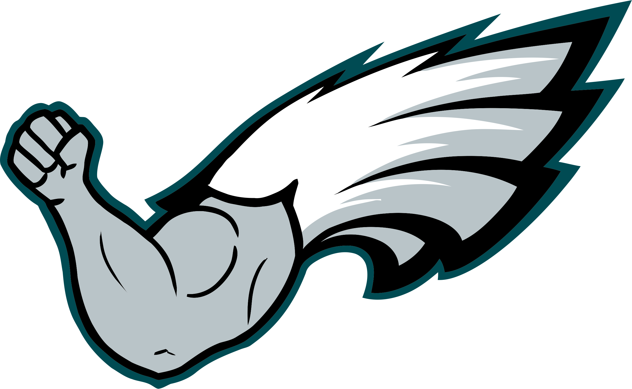 Philadelphia Eagles Steroids Logo DIY iron on transfer (heat transfer)